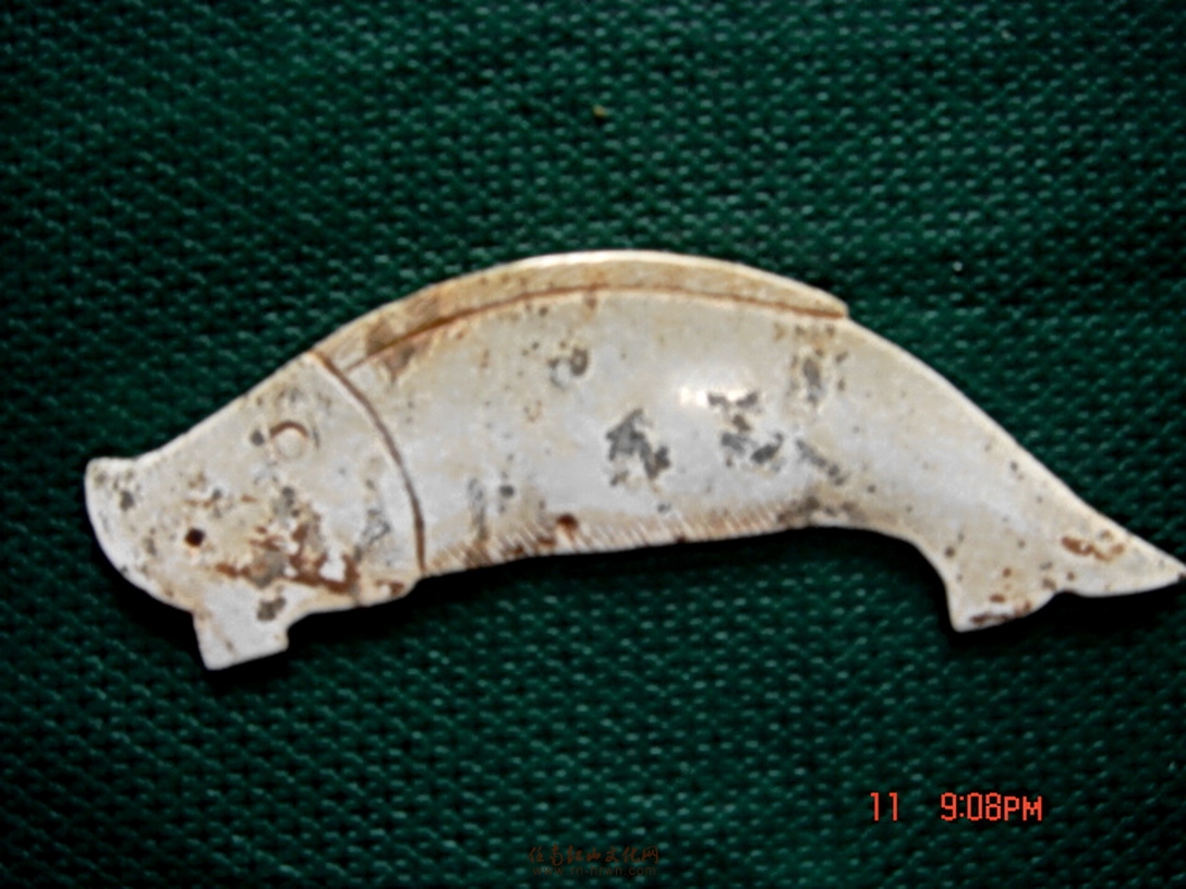 周代玉鱼 - 中国古代玉器论坛 - 任南红山文化官网 - powered by