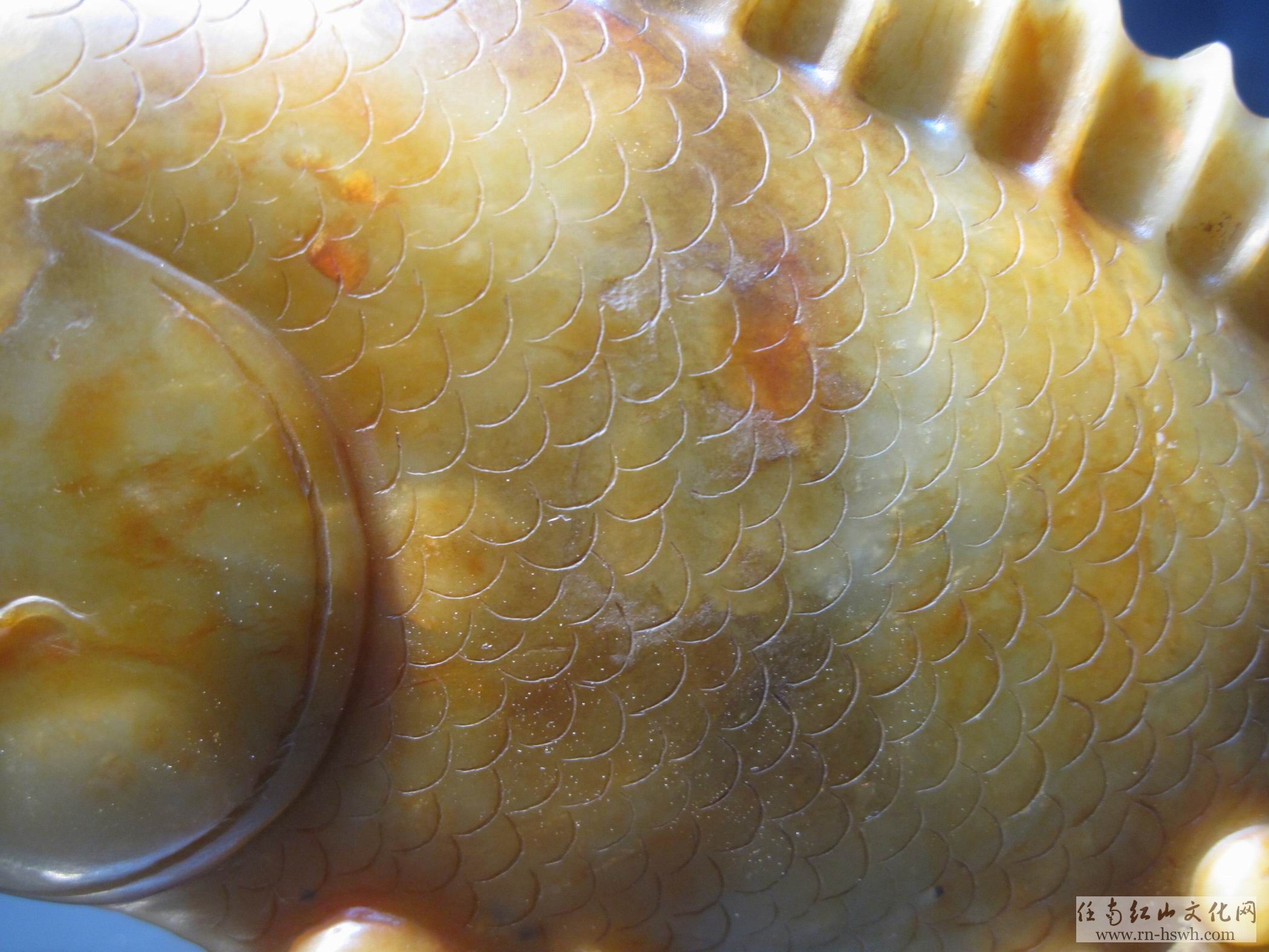 cf黄鱼官网_cf黄鱼_cf体验服黄鱼官网 | 知客分