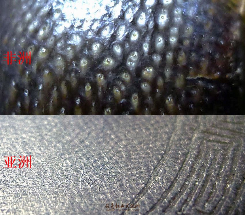 亚洲犀牛角 任南藏品 - 第5页 - 中华古玉器 论坛