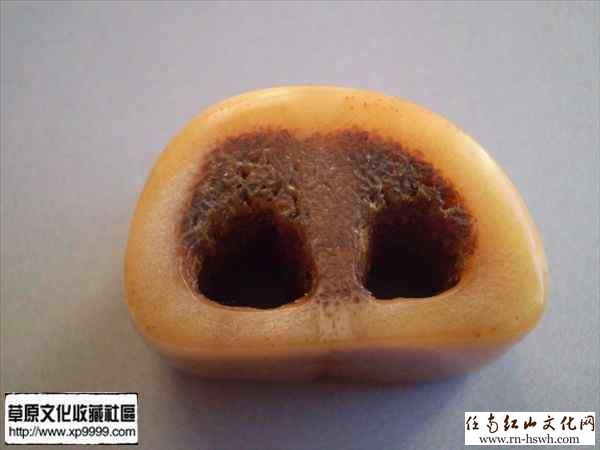 虎骨欣赏