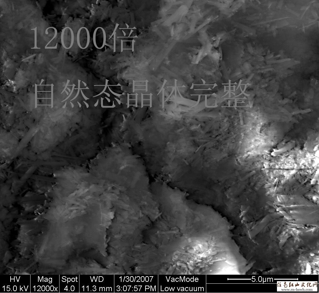 07.10.12表层白色物质-1副本.jpg