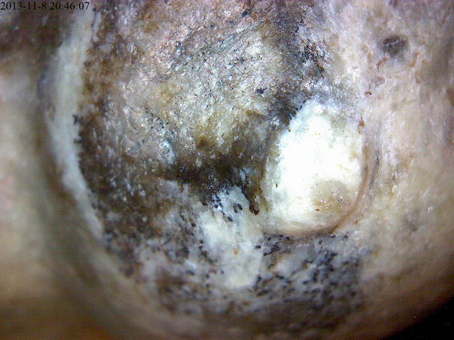 母系社会图腾女神 - 红山文化自由论坛 - 红山文