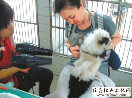 男子地摊淘便宜货 买到真象牙制品被批捕(图