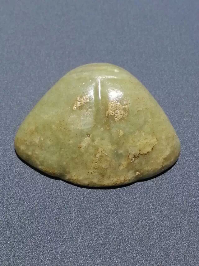 红山小动物扇贝 - 红山文化 论坛 - 红山文化,任