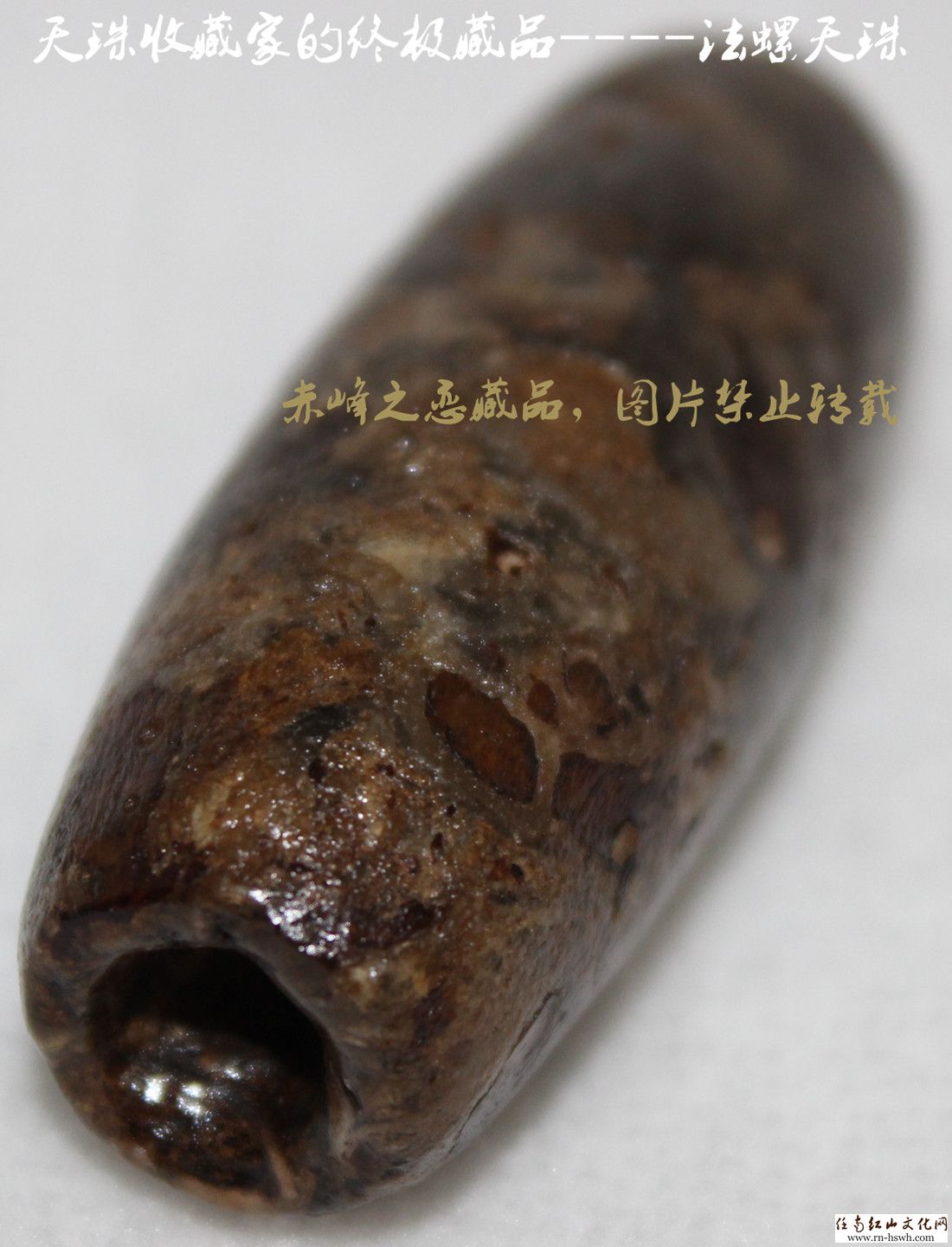天珠收藏家的终极藏品----老法螺天珠 - 中国陨石天珠