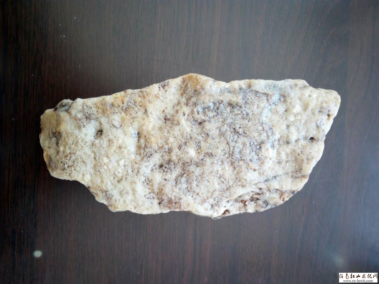 奇石--银龙鱼 - 休闲 杂谈 养生馆 - 红山文化,任南