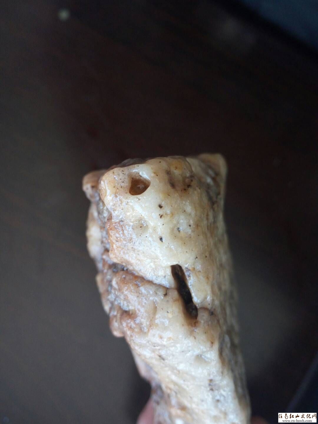 奇石--银龙鱼 - 休闲 杂谈 养生馆 - 红山文化,任南